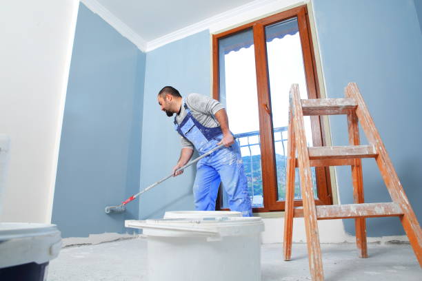 Reliable Pimlico, SC Mold Removal Solutions