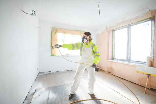 Best Post-Construction Mold Inspection  in Pimlico, SC