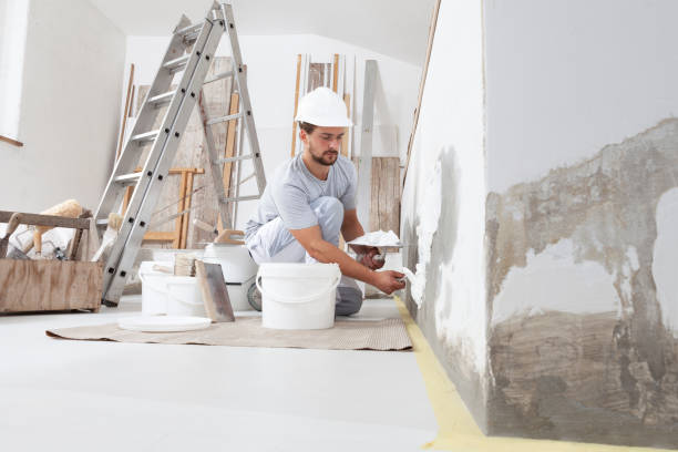 Best Crawl Space Mold Remediation  in Pimlico, SC