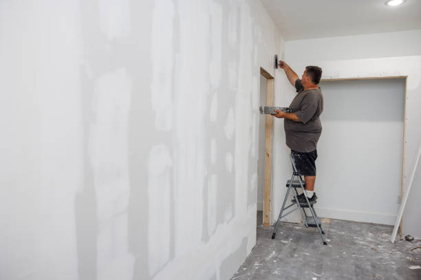 Best Real Estate Mold Inspection  in Pimlico, SC