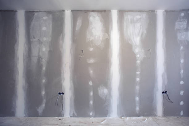 Best Air Quality Testing for Mold Spores  in Pimlico, SC